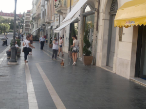 A spasso per il corso con una gallina al guinzaglio